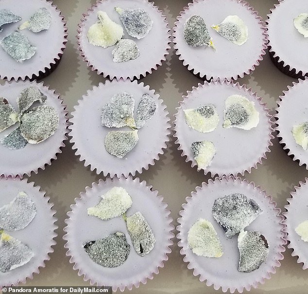 Special delivery: : MSC Cruises will offer three different thoughtfully prepared Martha Stewart celebration surprise packages that guests can order for delivery to their stateroom. All three include one of her famous desserts